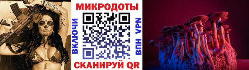 Псилоцибиновые грибы Psilocybine cubensis  Кондопога 